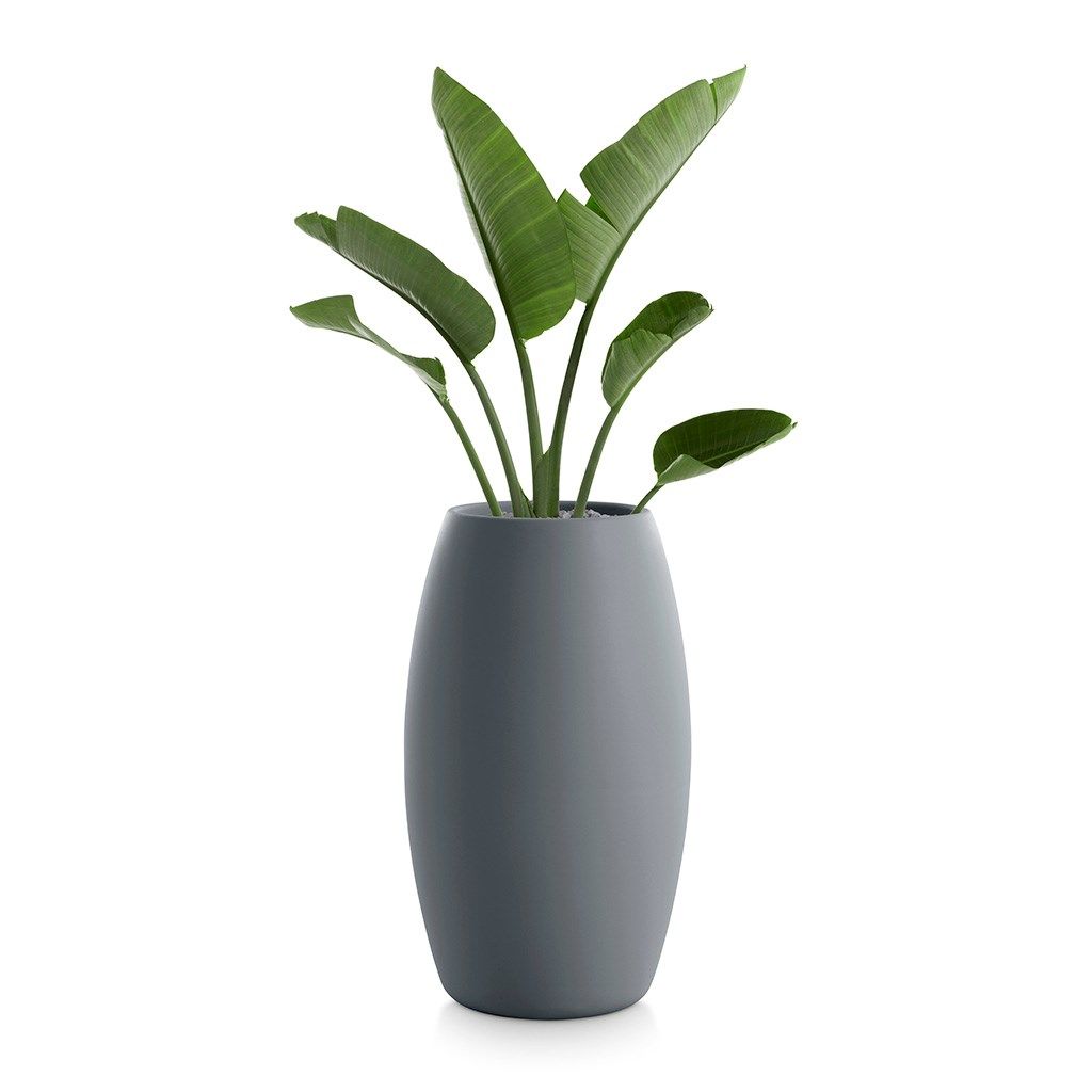 Высокий садовый горшок Diabla ARCH-00141162 - Вид №3