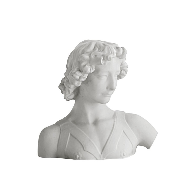 R39ABI/1X98 Бюст Давиде Adriani e Rossi белый 