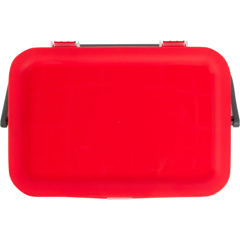 Контейнер для шашлыка Leto 6 л 28x19.6x20 см полипропилен цвет красный BEROSSI STLM-2031599 - Вид №1