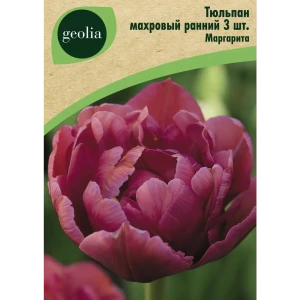 Тюльпан махровый ранний Маргарита 3 шт. 88663188 STLM-2100109