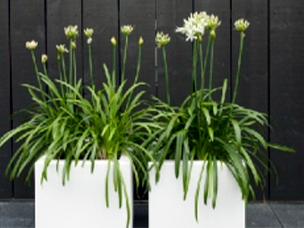 Кашпо коллекции "Ардена" АD-01-42 60/60/40 ГеоПластБорд GPBST-75 - Вид №7