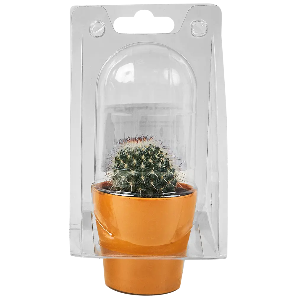 Santreyd: Декоративный кактус для современного интерьера 89296621 STLM-0823759