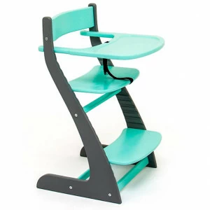 Детский растущий регулируемый стул "Усура" графит, мятный БЕЛЬМАРКО  326889 Голубой;серый