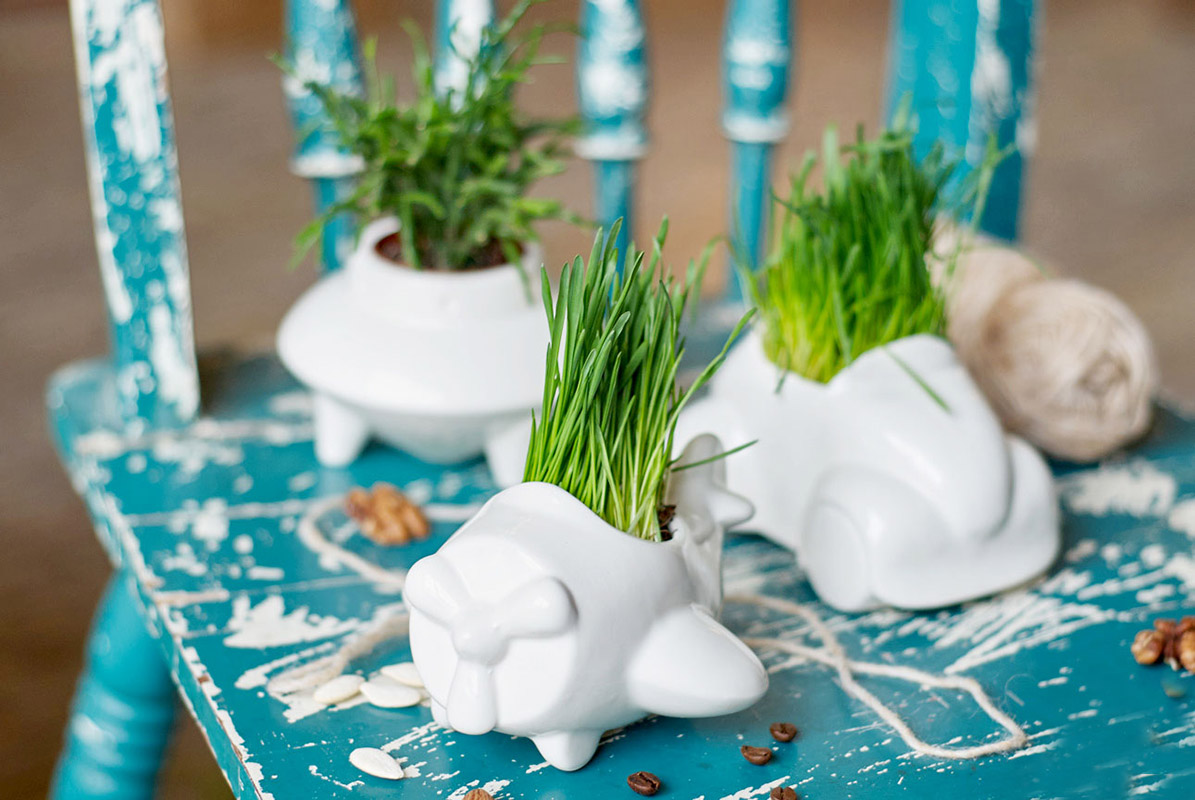 Набор для выращивания Eco НЛО ЭКОЧЕЛОВЕКИ 7003 - Вид №3