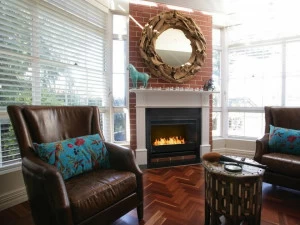 EcoSmart Fire Вставка для каминов на биоэтаноле Fireplace grates