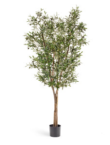 10.28005N Олива Нэйчерел с плодами Цветочная коллекция