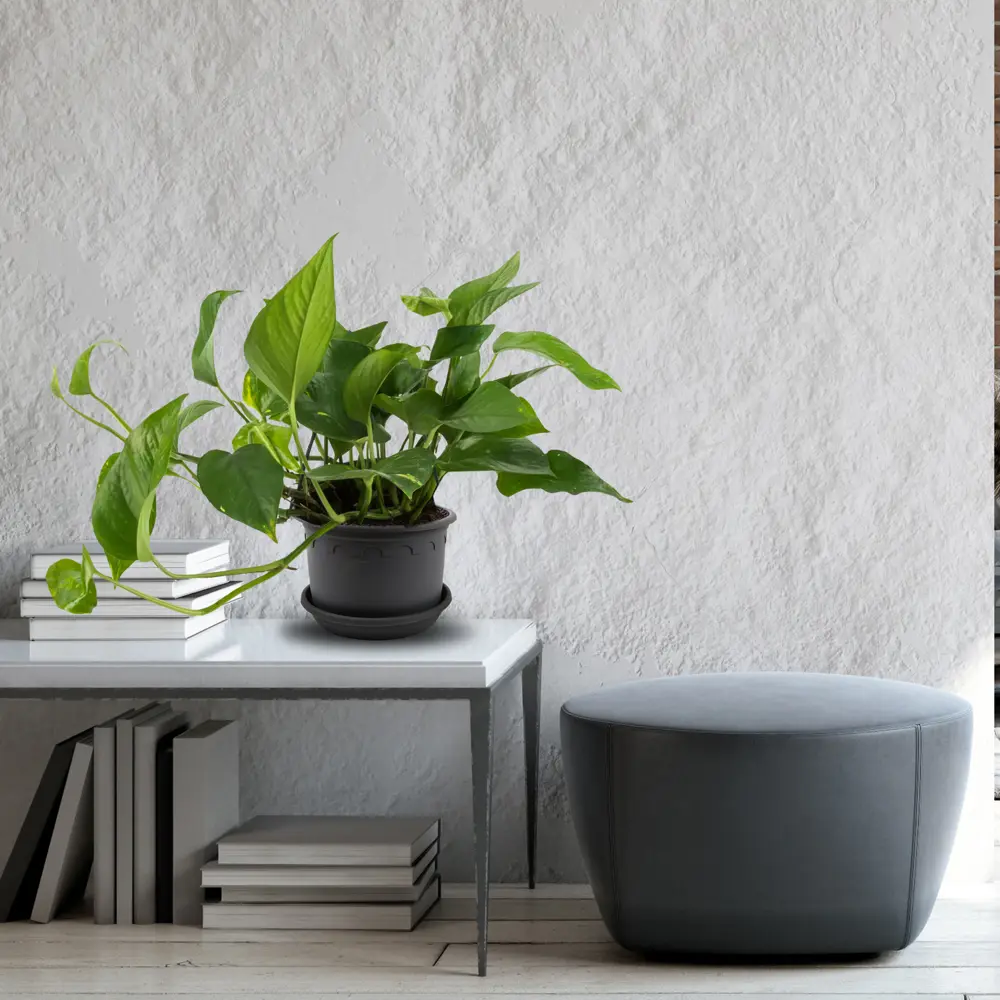 Горшок цветочный Газонcity Рома ø25.4 h19.5 см v5.9 л пластик тёмно-серый STLM-2144527 - Вид №2