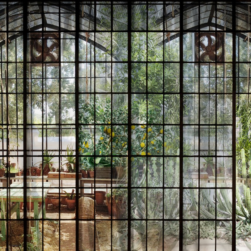 WP03084A Обои декоративные Adriani e Rossi 