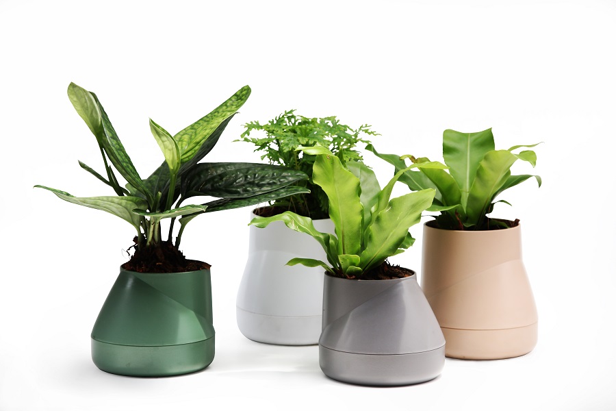 QLX20002-WH Горшок цветочный hill pot, большой, белый Qualy  - Вид №7