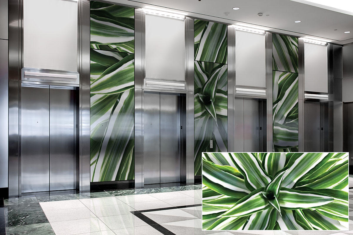 FSRT381 Зум-стекло vivispectra с прослойкой сакраменто горы  Forms-surfaces  - Вид №16