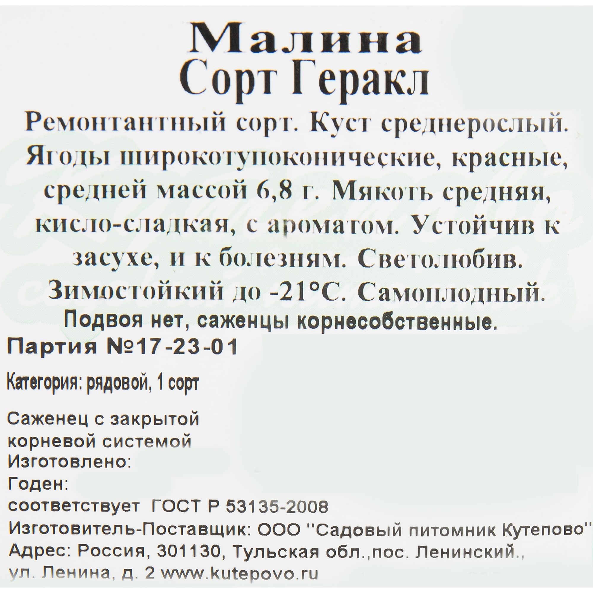 82597106 Малина «Геракл» C2 высота 40 см Santreyd  - Вид №1