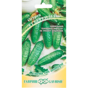 Семена Огурец «Берендей» F1