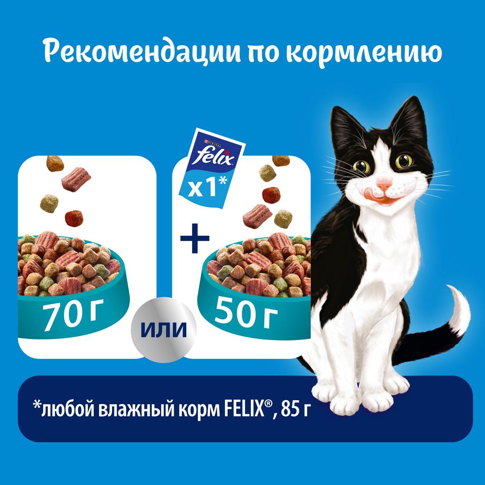 ПР0042234 Корм Двойная Вкуснятина с рыбой, сух. 300 г FELIX  - Вид №6
