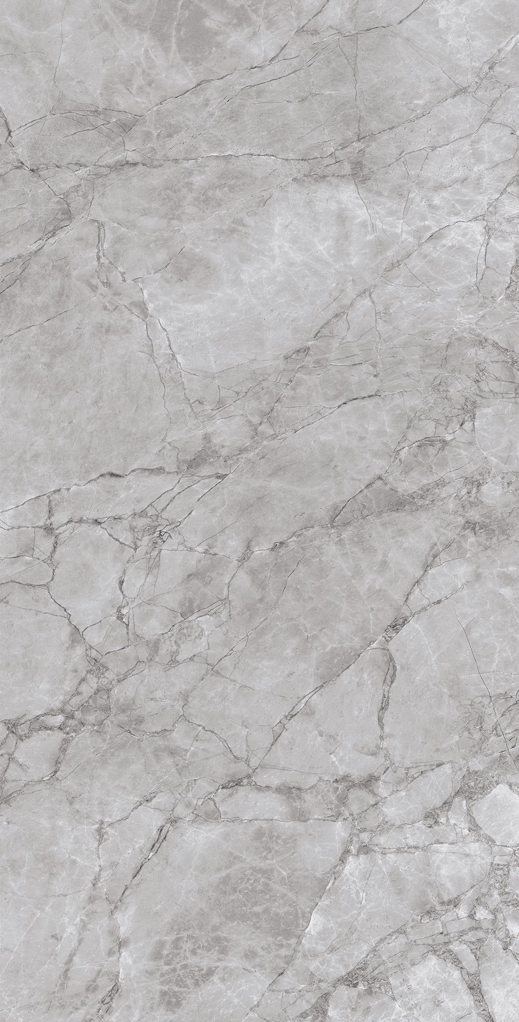 ARCTIC GREY ARCADIA CERAMICA CR4012-A - Вид №5
