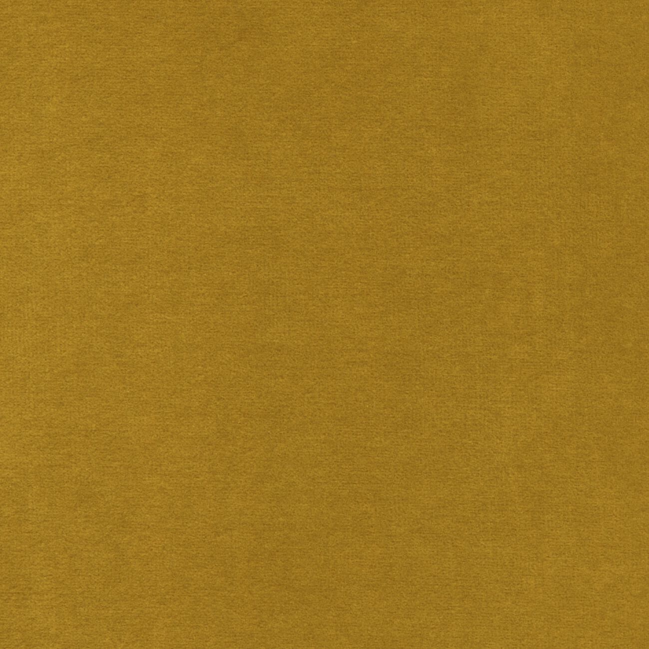 Бархатная однотонная ткань Élitis Palatine ARCH-00143253 - Вид №36