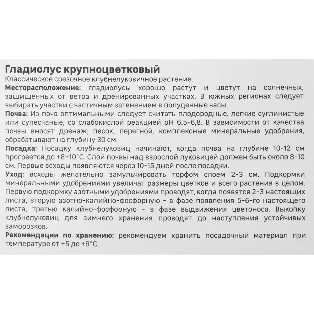 Гладиолус крупноцветковый Альмара Geolia 3 шт STLM-2083742 - Вид №2