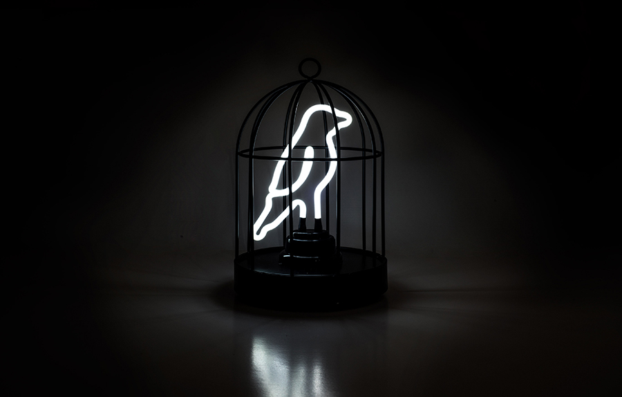 Светильник неоновый Bird in a cage SUCK UK SKNEONBIRD1 - Вид №2