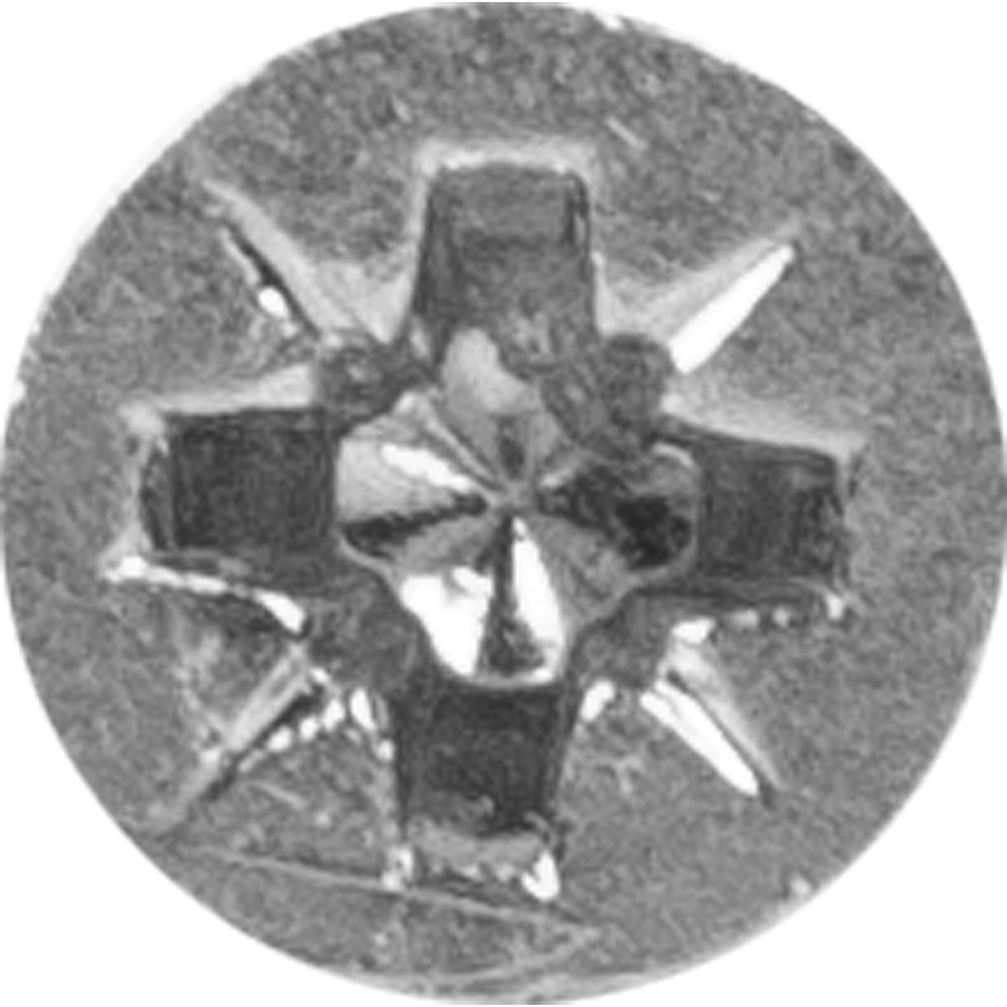 10095955 Саморезы универсальные оцинкованные 3,5х50мм (7 шт) Santreyd  - Вид №2