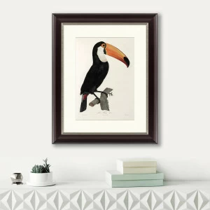 Картина: Большой тукан, 1806 КАРТИНЫ В КВАРТИРУ  191736 Разноцветный