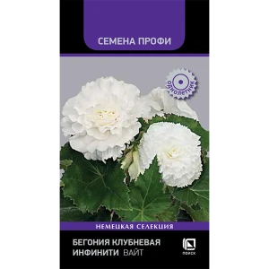 Бегония клубневая ПОИСК Инфинити Вайт - махровая красота для сада и балкона 89401287