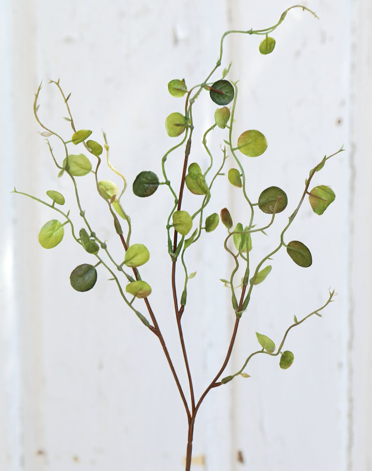 6998 883 a2 Ветка очитка искусственная, 35 см, зеленая H-andreas 