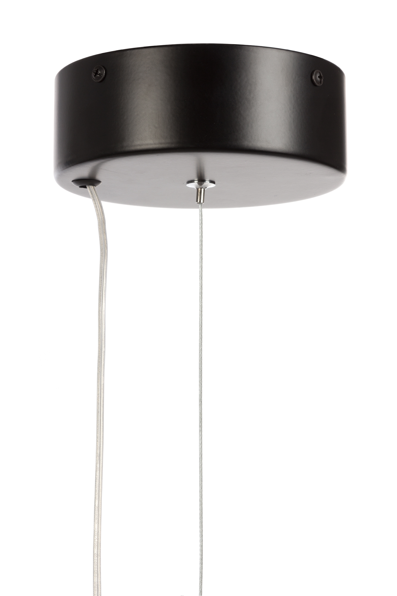 2000983200235 Подвесной светильник B ELECTRORETRO Vizu  - Вид №5