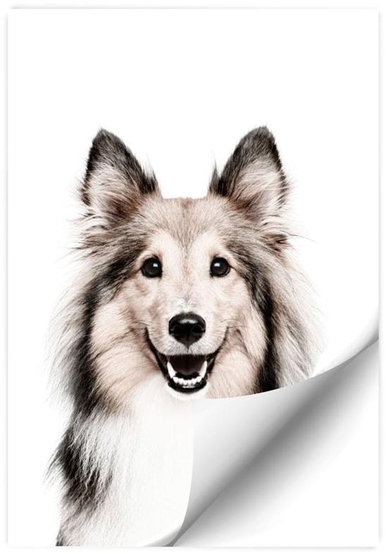 Groovy Magnets Клейкое виниловое украшение  St-92x60-d  - Вид №1