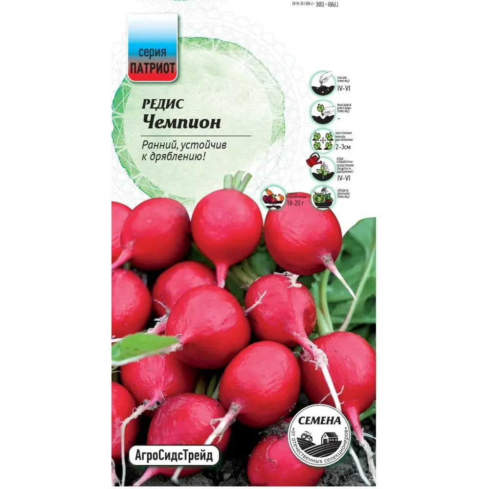 Семена редиса Чемпион - ранний урожайный сорт 89405219 Santreyd STLM-1582353