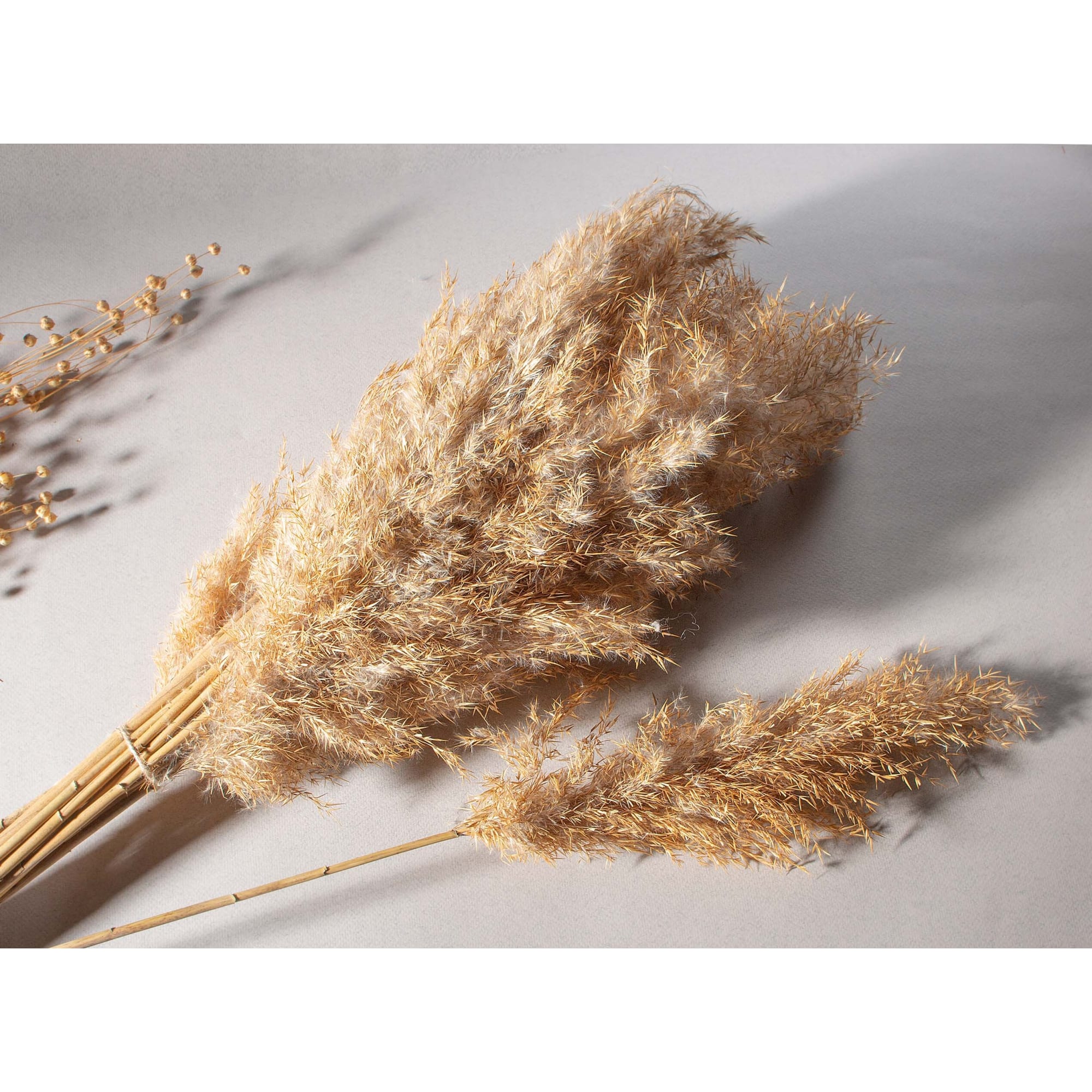 89896959 Букет Камыш h117 см Santreyd  - Вид №2