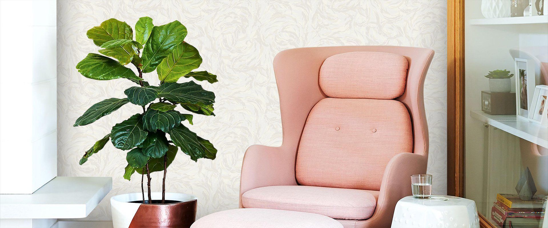 Victoria Stenova 998458 Фон VENERA 998458 - Вид №1