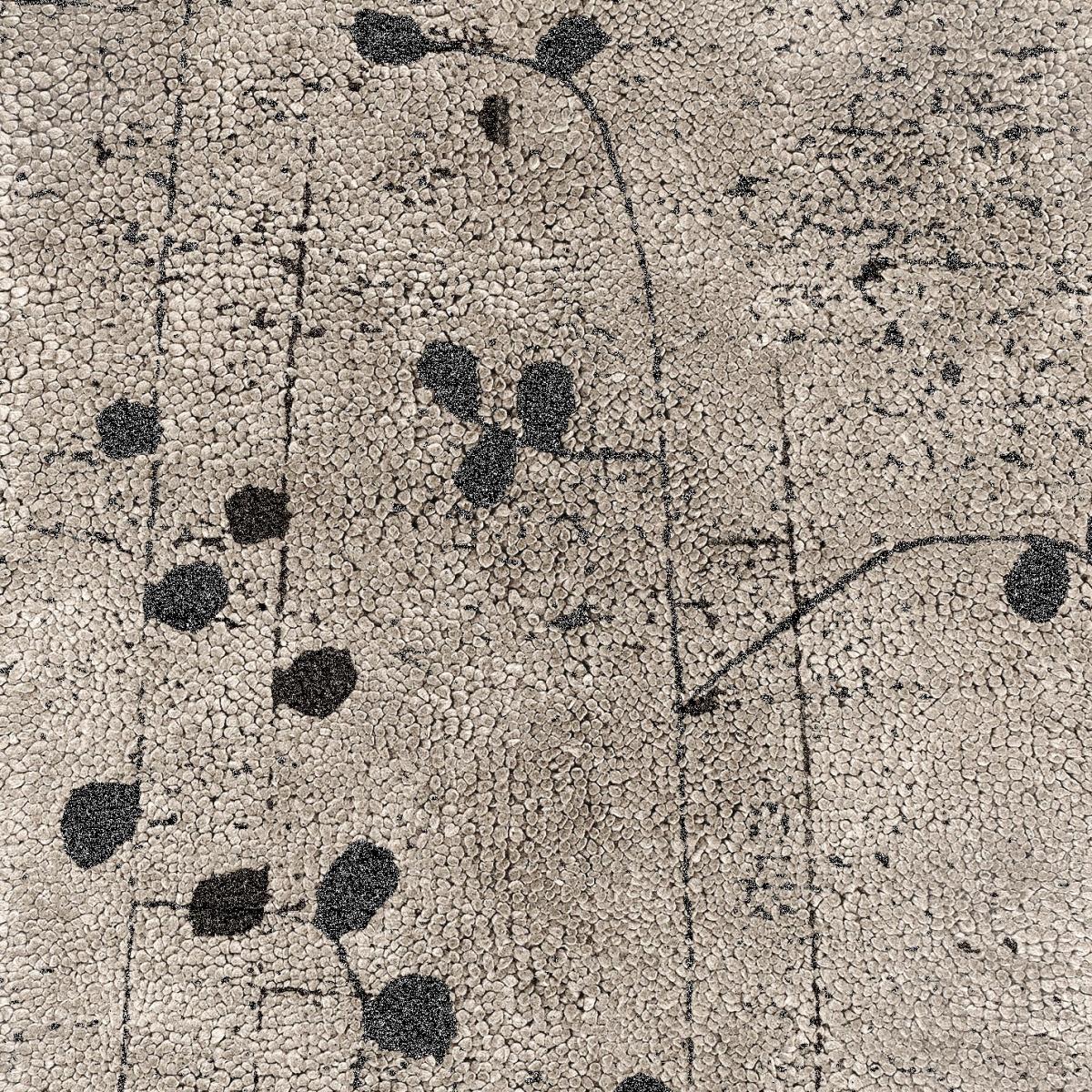 002538 Ковер Poppy Brabbu  - Вид №1