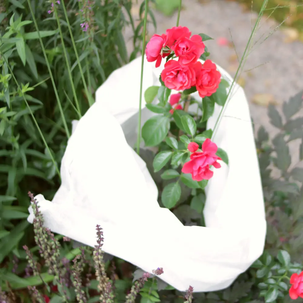 Зимнее укрытие для растений Агротекс 100 г/м² 1,6х10 м STLM-2133671 - Вид №2