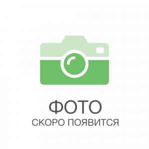 85326938 Мята Гранада ø15 h20 см