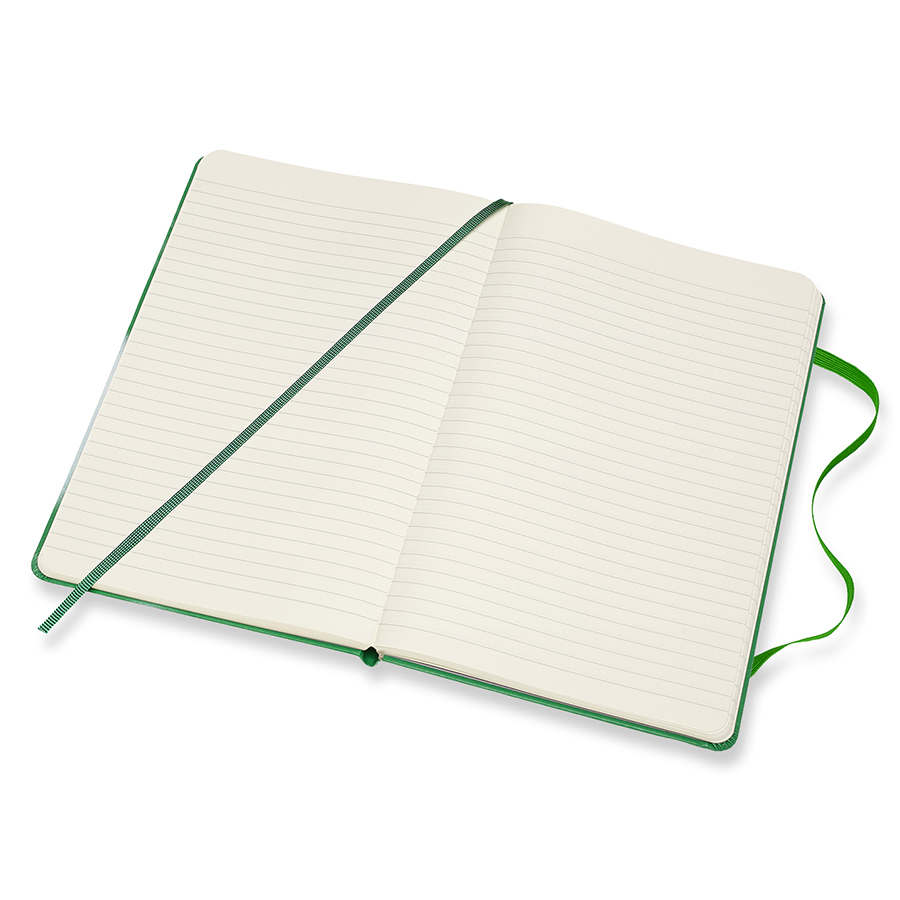 Блокнот Moleskine BOB DYLAN Large 130х210мм 240стр. линейка твердая обложка зеленый 1127195 - Вид №3