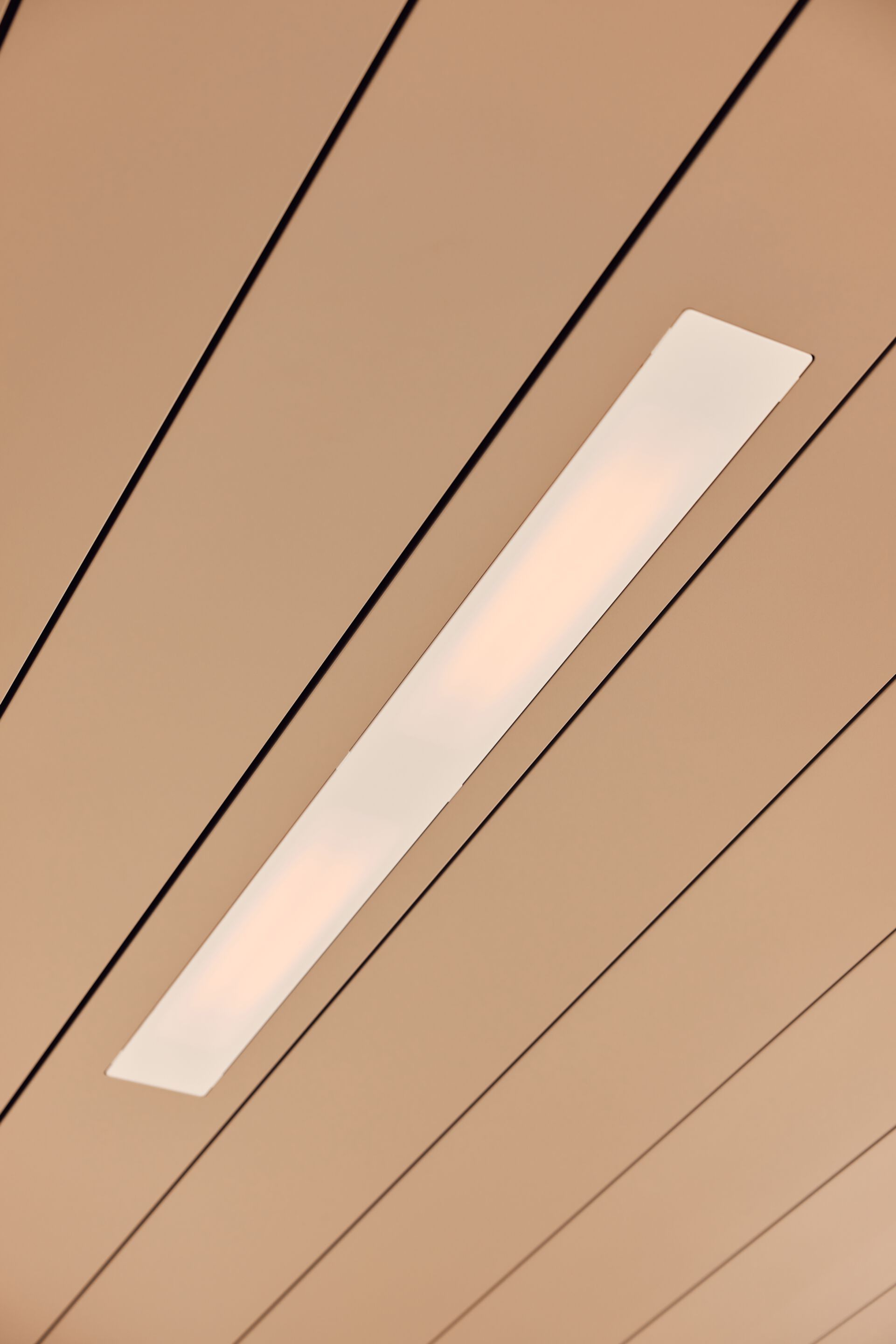 Биоклиматическая пергола из алюминия RENSON AMANI ARCH-00088100 - Вид №14