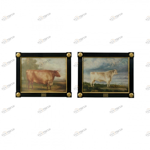 Картины / Lenith and Ox Theodore Alexander sun-id-374680