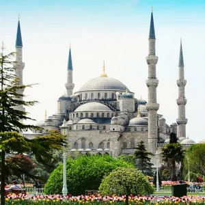 C1-173 Фотообои DIVINO Collection C 2.7х3 м