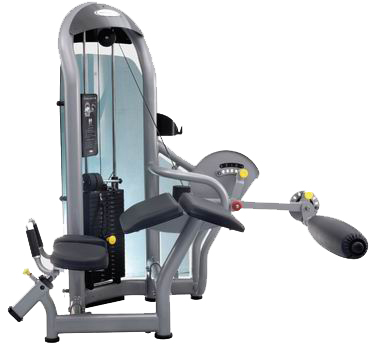 S73 g3 s73 сгибание ног лежа MATRIX G3 серия 