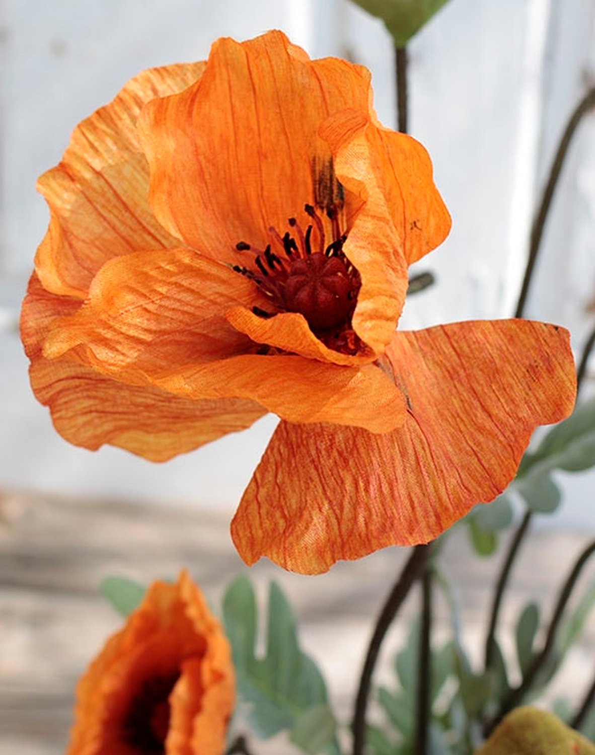 4524 334 a2 Мак шелковый, горшечный, 40 см, оранжевый H-andreas  - Вид №2