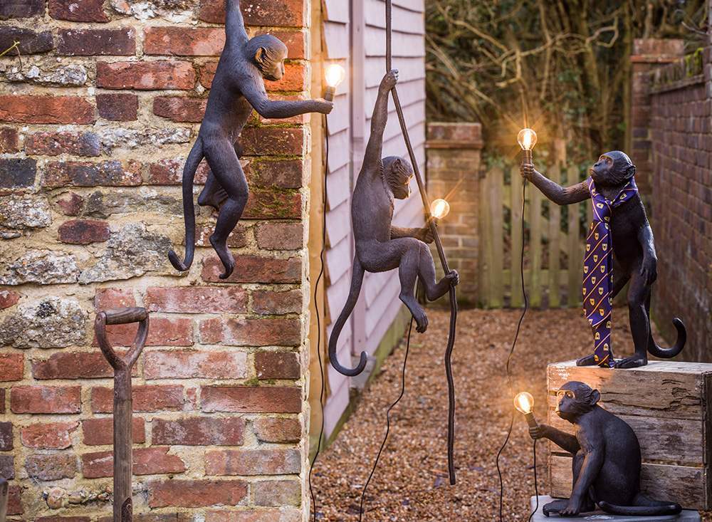 Настольная лампа 14920 от Seletti SELETTI ЖИВОТНЫЕ 244937 Черный - Вид №10