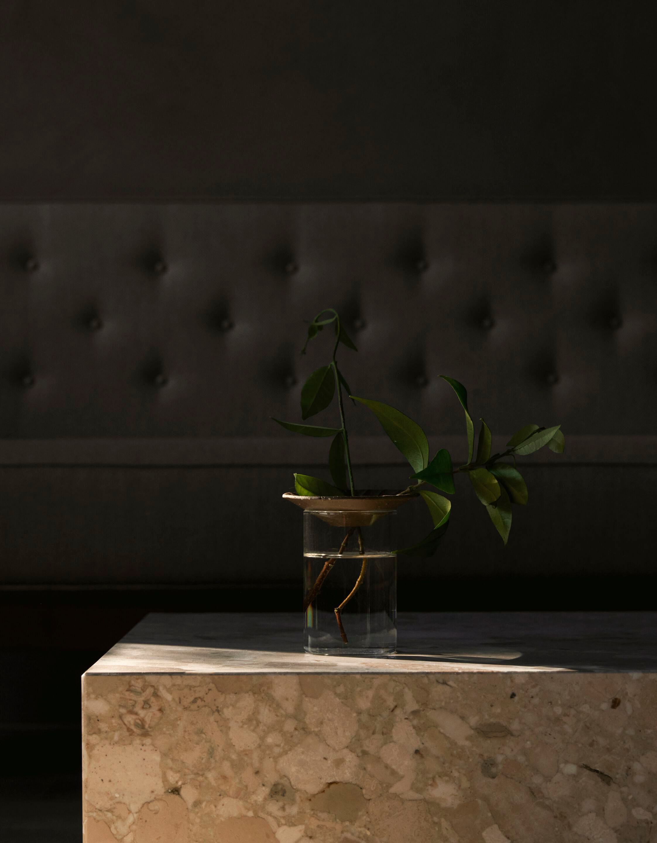 Керамическая и стеклянная ваза Audo Copenhagen CRESCO PROPAGATION ARCH-00022443 - Вид №6