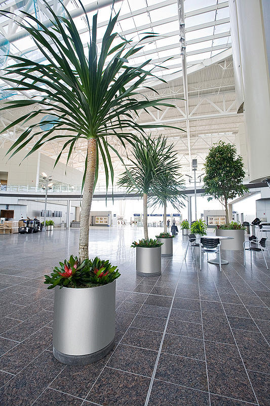 FSRT217 Универсальная сеялка  Forms-surfaces  - Вид №4