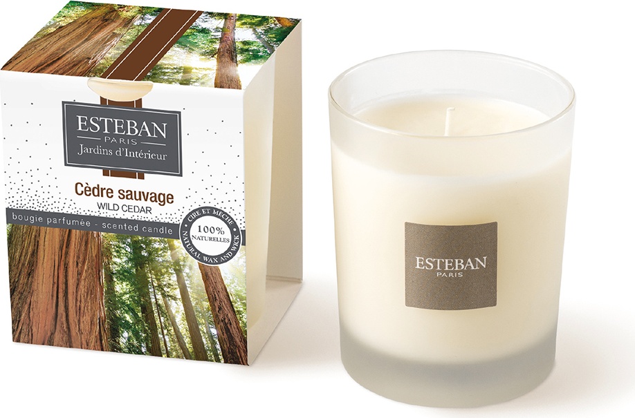 10635974 Esteban Аромасвеча 170г "Дикий кедр" Стекло 