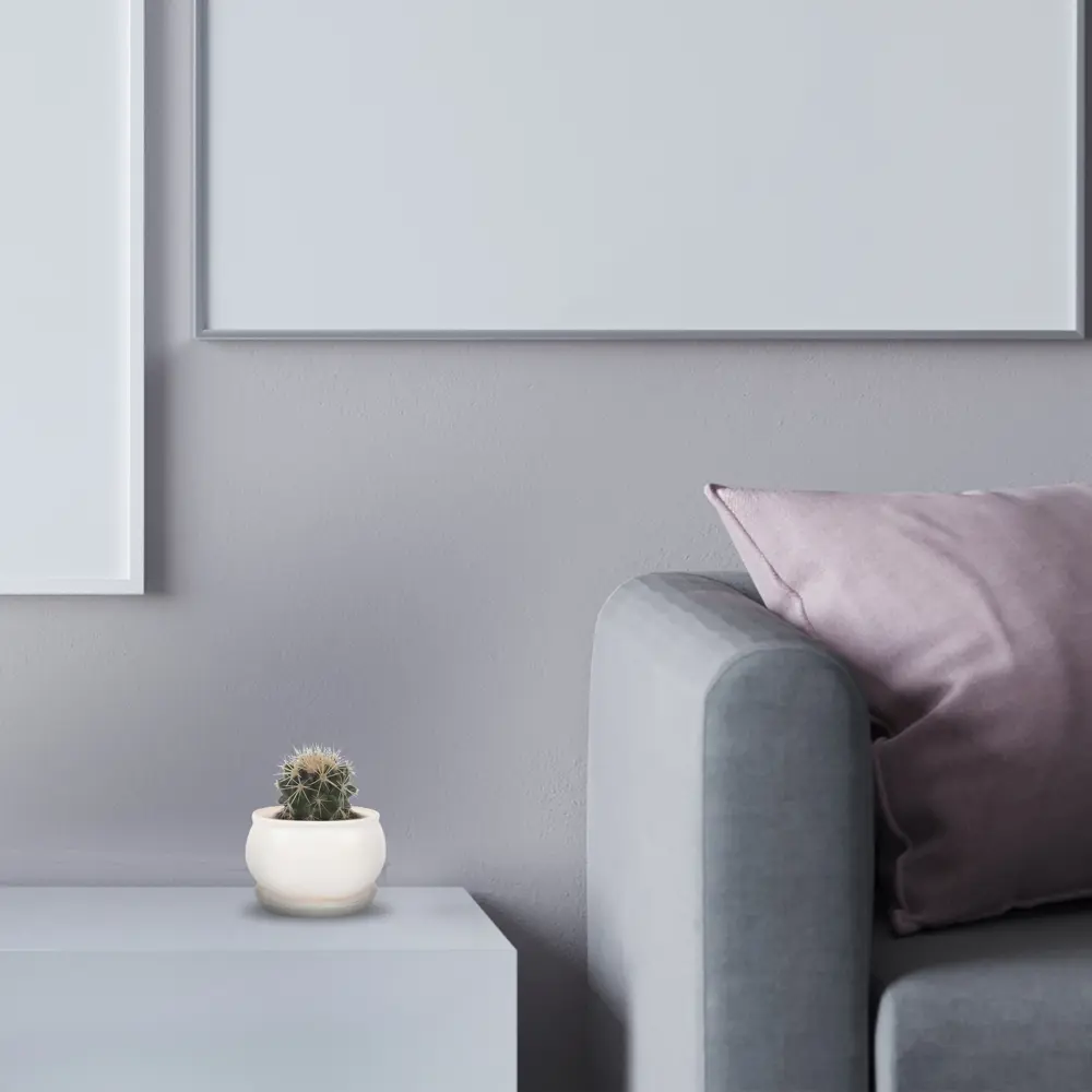 Santreyd Эхинокактус Грузони Радуга - живой шар с золотистыми колючками 84450779 STLM-0050228 - Вид №4