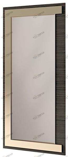 Прямоугольное зеркало в настенной раме Contemporary 7924 Santreyd