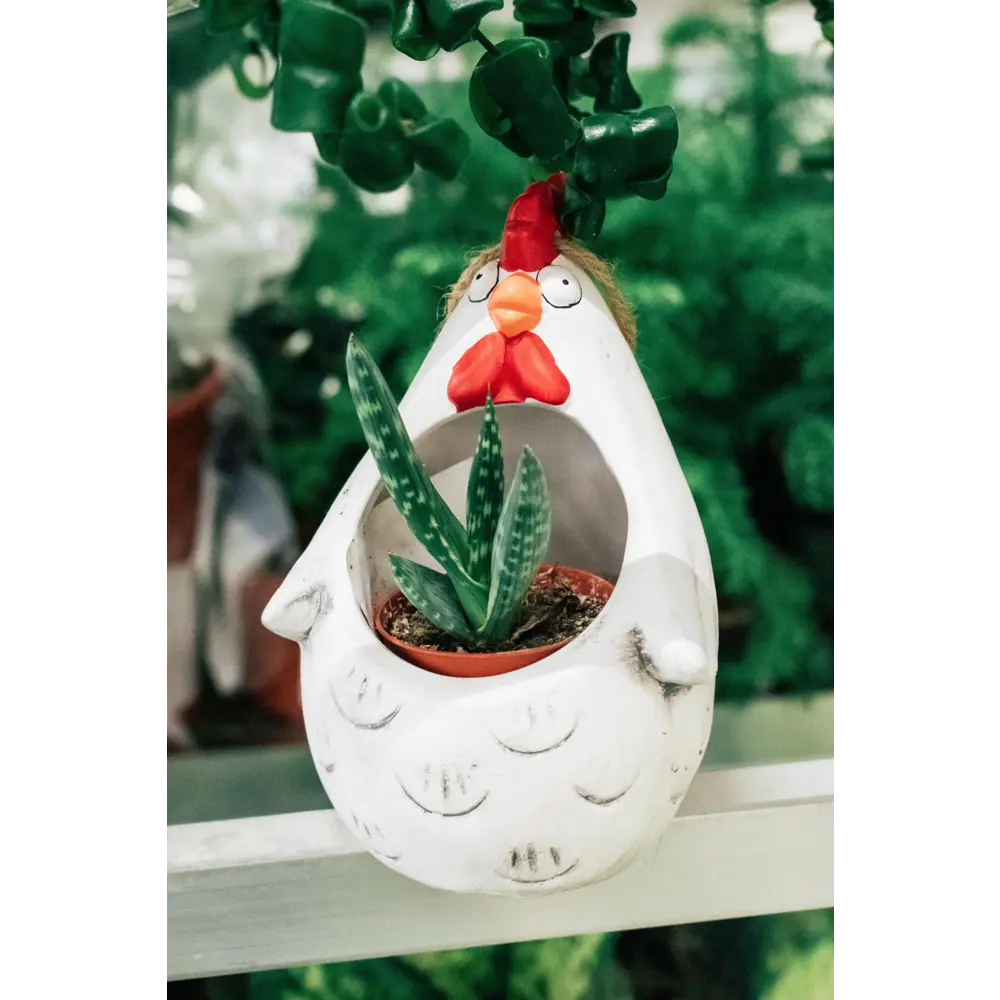 Кашпо-кактусник 10.5x10x14 см v0.15 л керамика белый GARDMAX STLM-2156617 - Вид №5