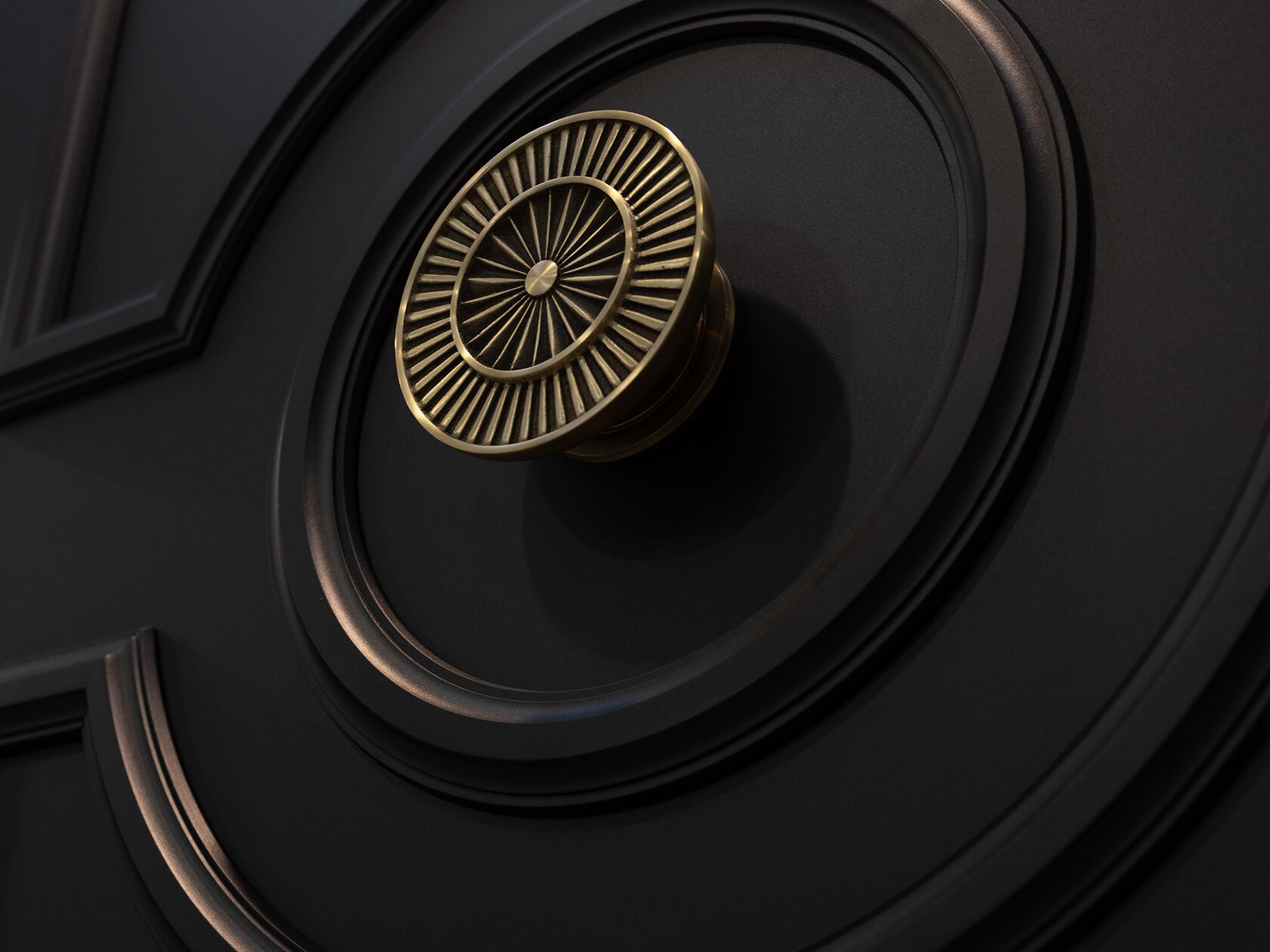 Алюминиевая дверца с порошковым покрытием Roka INVICTUS ARCH-00140771 - Вид №2