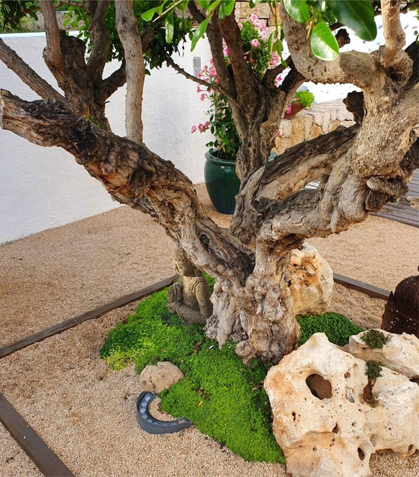 BENEITO FAURE Алюминиевый напольный проектор для улицы sun-id-1427207 - Вид №2