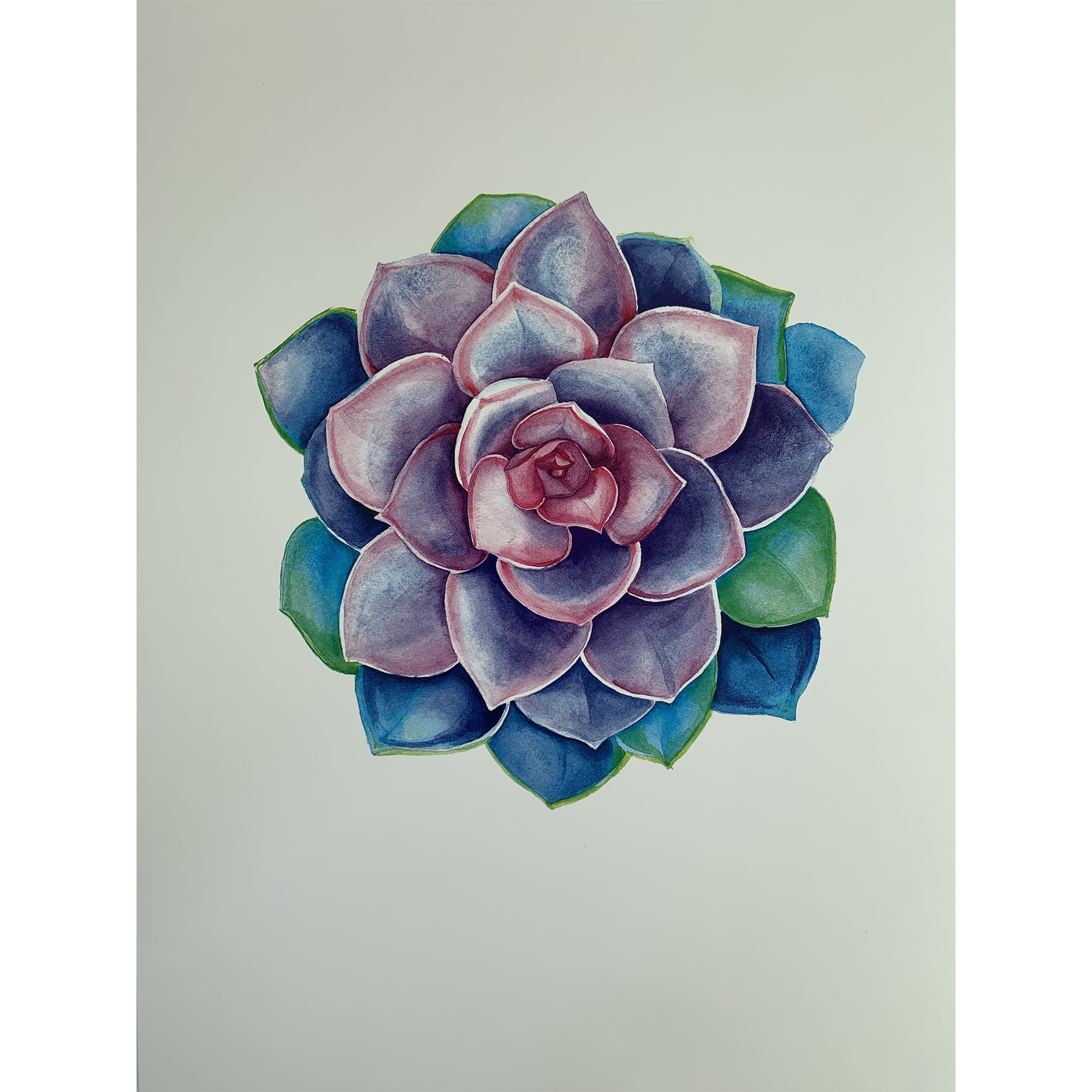 82481361 Постер «Суккулент» 21x29.7 см Santreyd 