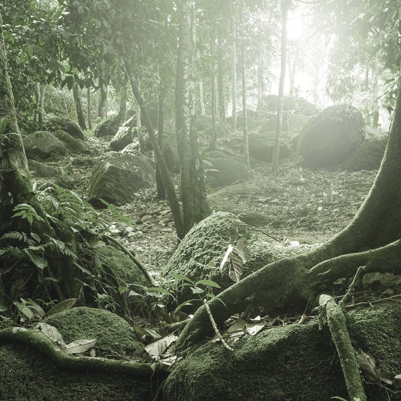 0794/CX38 Картина 0794 Adriani e Rossi  - Вид №1